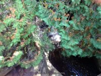 CLIFFORD FALLS ESSEX COUNTY NORTHERN NEW YORK 9-28-2014_00001.JPG