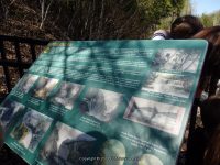 TRENTON HIGH FALLS ONEIDA COUNTY CENTRAL NEW YORK 5-11-2014_00001.JPG