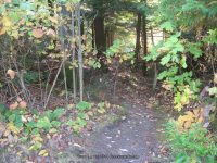 SPLIT ROCK FALLS ESSEX COUNTY NORTHERN NEW YORK 9-28-2014_00025.JPG