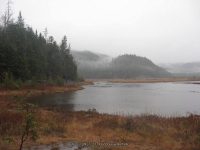 8 lean to to the state boundry_00002.JPG