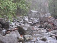 8 lean to to the state boundry_00023.JPG