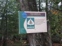 10 first bridge to trailhead_00029.JPG