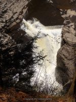 TRENTON SHERMAN FALLS ONEIDA COUNTY CENTRAL NEW YORK 5-11-2014_00004.JPG