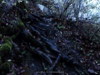 LANSING KILL FALLS ONEIDA COUNTY CENTRAL NEW YORK 10-18-2014_00005.JPG