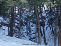 Goulds South Rensselaer County Eastern NY 2-22-2014_00002.JPG