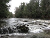 MAD RIVER MIDDLE OSWEGO CENTRAL NY 5-08-2011_00002.JPG