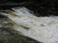 MAD RIVER UPPER OSWEGO CENTRAL NY 5-08-2011_00011.JPG