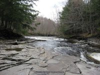 MAD RIVER UPPER OSWEGO CENTRAL NY 5-08-2011_00012.JPG