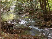 (1) FALLING SPRING FALLS COVINGTON VIRGINIA Oct 1 2013_00001.JPG