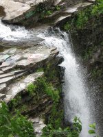 SALMON RIVER OSWEGO CENTRAL NEW YORK 6-10-2010_00008.JPG