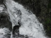 SALMON RIVER OSWEGO CENTRAL NEW YORK 6-10-2010_00023.JPG