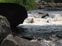 HARRISVILLE LEWIS COUNTY NORTHERN NEW YORK 7-16-2009_00009.JPG