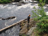 HARRISVILLE LEWIS COUNTY NORTHERN NEW YORK 7-16-2009_00013.JPG