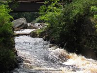 HARRISVILLE LEWIS COUNTY NORTHERN NEW YORK 7-16-2009_00018.JPG