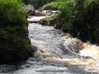 HARRISVILLE LEWIS COUNTY NORTHERN NEW YORK 7-16-2009_00019.JPG