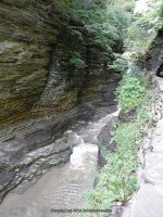 CENTRAL CASCADE in WATKINS GLEN SCHUYLER CENTRAL NY 8-10-2013_00010.JPG