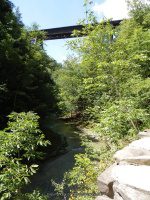 JACOBS LADDER in WATKINS GLEN SCHUYLER CENTRAL NEW YORK 8-10-2013_00003.JPG