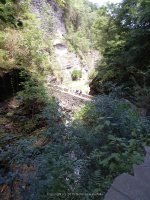 STILL WATER GORGE in WATKINS GLEN SCHUYLER CENTRAL NEW YORK 8-10-2013_00001.JPG