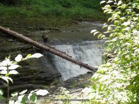 SYLVAN RAPIDS in WATKINS GLEN SCHUYLER CENTRAL NEW YORK 8-10-2013_00003.JPG