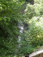 SYLVAN RAPIDS in WATKINS GLEN SCHUYLER CENTRAL NEW YORK 8-10-2013_00006.JPG