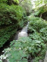 THE NARROWS in WATKINS GLEN SCHUYLER COUNTY CENTRAL NEW YORK 8-10-2013_00004.JPG