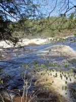 FOWLERSVILLE FALLS LEWIS COUNTY NORTHERN NEW YORK 5-17-2014_00004.JPG