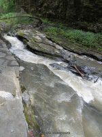 THE NARROWS in WATKINS GLEN SCHUYLER COUNTY CENTRAL NEW YORK 8-10-2013_00012.JPG