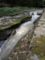 THE NARROWS in WATKINS GLEN SCHUYLER COUNTY CENTRAL NEW YORK 8-10-2013_00013.JPG