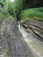 THE NARROWS in WATKINS GLEN SCHUYLER COUNTY CENTRAL NEW YORK 8-10-2013_00017.JPG