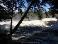 FOWLERSVILLE FALLS LEWIS COUNTY NORTHERN NEW YORK 5-17-2014_00008.JPG