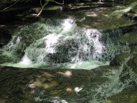 CASCADILLA GORGE FALLS TOMPKINS COUNTY CENTRAL NEW YORK 5-24-2008_00023.JPG