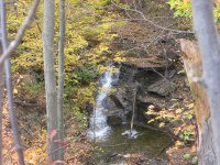 16 FALLS CREEK SENECA CENTRAL NY 10-19-2010_00004.JPG