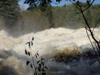 FOWLERSVILLE FALLS LEWIS COUNTY NORTHERN NEW YORK 5-17-2014_00013.JPG