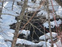 SALT SPRINGFIELD OTSEGO CENTRAL NY 3-06-2010_00002.JPG