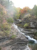 414 SCHUYLER CENTRAL NEW YORK 10-19-2010_00004.JPG