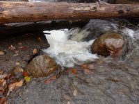 DEER CREEK falls on MOONEY GULF (2) 10-25-2014_00007.JPG