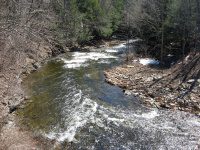 MAD RIVER (Hart Road) ONEIDA COUNTY CENTRAL NEW YORK 4-13-2009_00001.jpg