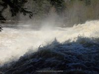 FOWLERSVILLE FALLS LEWIS COUNTY NORTHERN NEW YORK 5-17-2014_00018.JPG