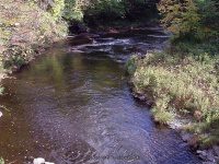 MAD RIVER (Hart Road) ONEIDA COUNTY CENTRAL NEW YORK 9-29-2007_00002.JPG