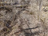 BAKERS FALLS ONEIDA NY 4-19-2015_00066.JPG