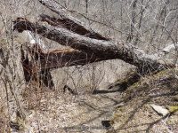BAKERS FALLS ONEIDA NY 4-19-2015_00070.JPG