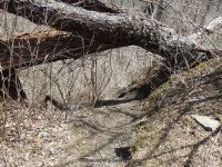 LANSING FALLS ONEIDA NY 4-19-2015_00068.JPG