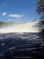 FOWLERSVILLE FALLS LEWIS COUNTY NORTHERN NEW YORK 5-17-2014_00025.JPG