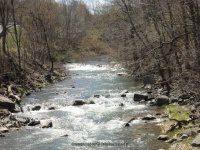 GRIST MILL PARK ONONADAGA NY 4-29-2015_00007.JPG