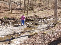 GUPPY FALLS ONONADAGA NY 4-29-2015_00003.JPG