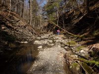 GUPPY FALLS ONONADAGA NY 4-29-2015_00006.JPG