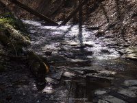 GUPPY FALLS ONONADAGA NY 4-29-2015_00008.JPG