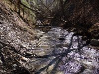 GUPPY FALLS ONONADAGA NY 4-29-2015_00010.JPG