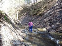 GUPPY FALLS ONONADAGA NY 4-29-2015_00038.JPG