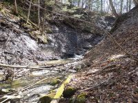 GUPPY FALLS ONONADAGA NY 4-29-2015_00039.JPG